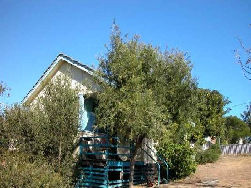 317 Banksia Street, Rangeway WA 6530