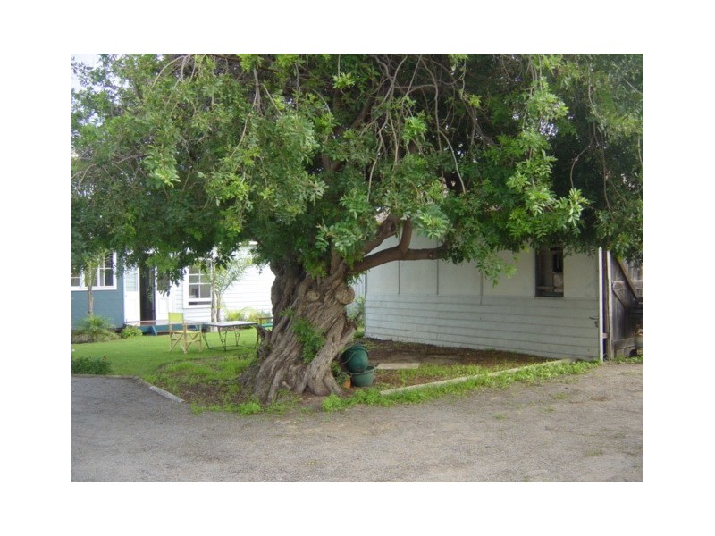 73 Francis Street, Geraldton WA 6530