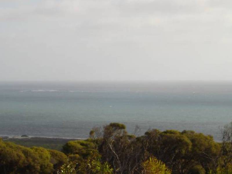 Columbus Boulevard, Wandina WA 6530