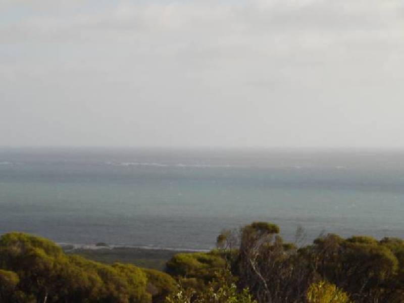 Columbus Boulevard, Wandina WA 6530