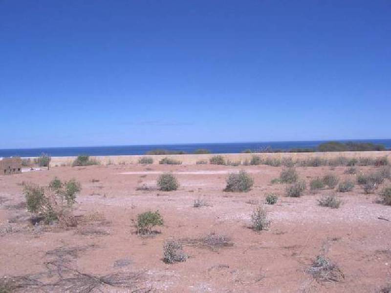 Silvery Wave Vista, Wandina WA 6530