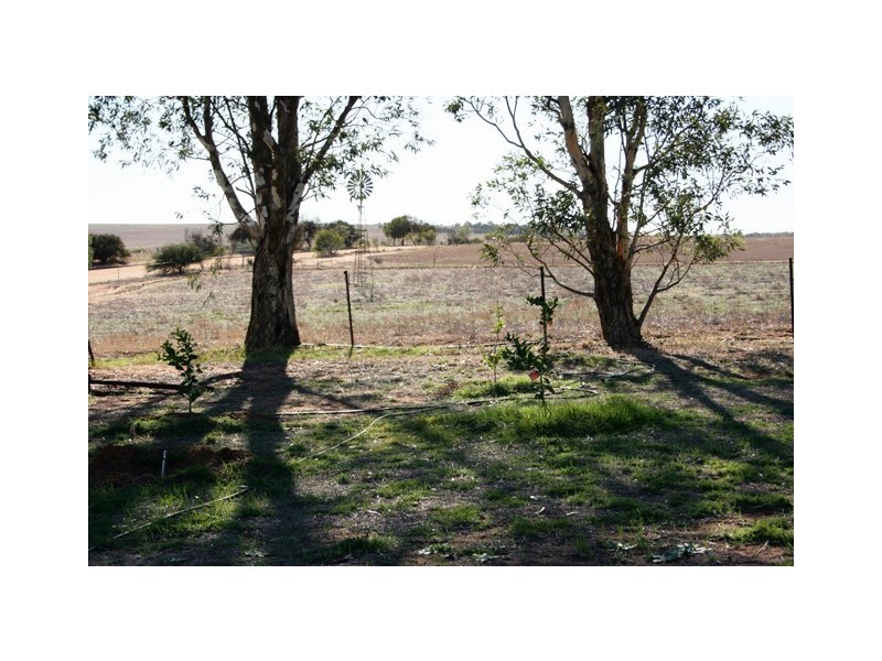 478 Indialla Road, Nabawa WA 6532