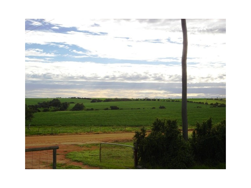 478 Indialla Road, Nabawa WA 6532