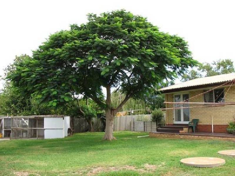 Compton Street, Rangeway WA 6530