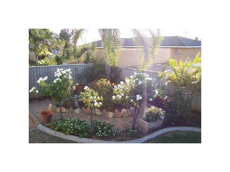 11 Gummer Avenue, Geraldton WA 6530