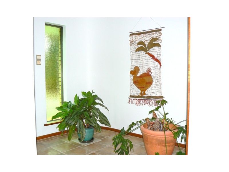 Lot 66, 47 Arnold Road, Waggrakine WA 6530