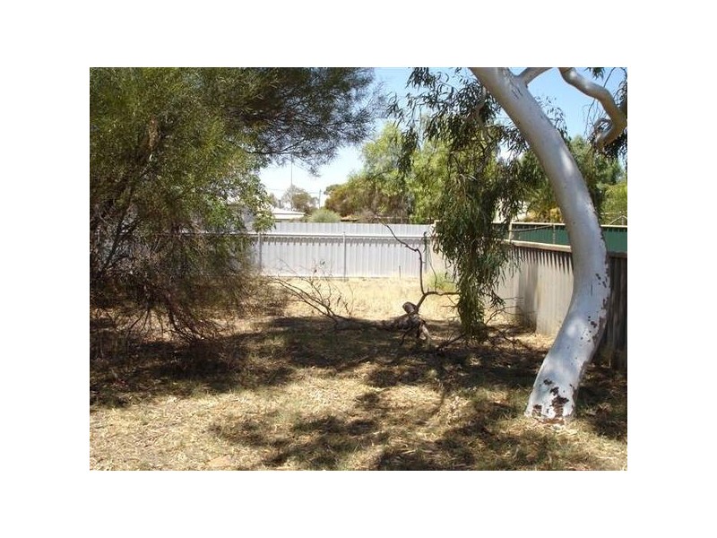 46 Attwood Street, Mount Magnet WA 6638