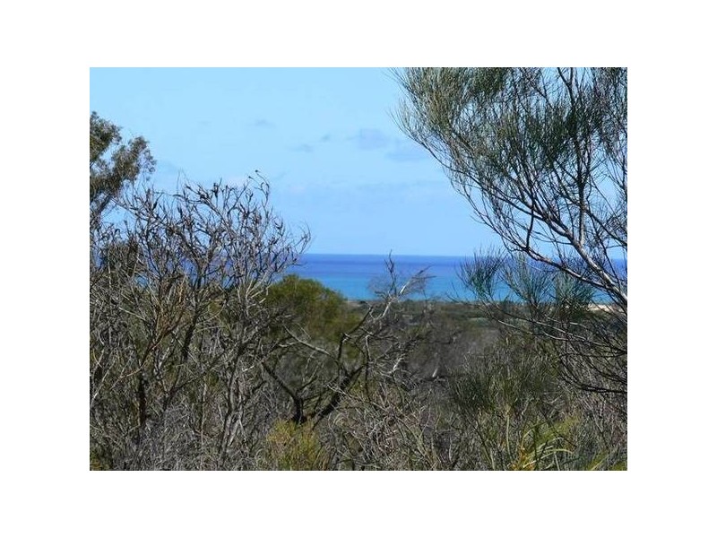 55 Sutcliffe Road, Waggrakine WA 6530