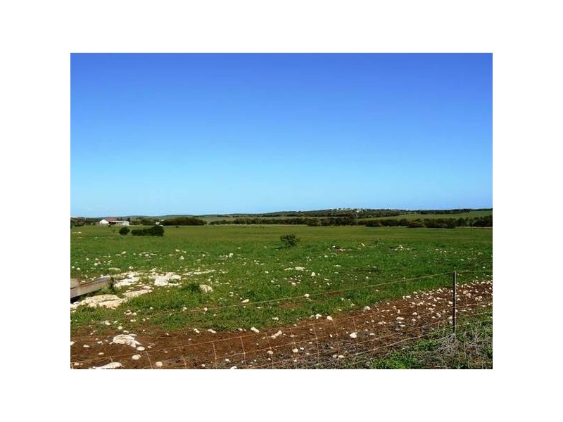 183 Jandanol Road, Rudds Gully WA 6532