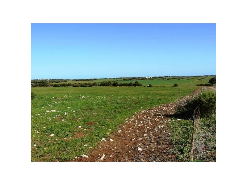 183 Jandanol Road, Rudds Gully WA 6532