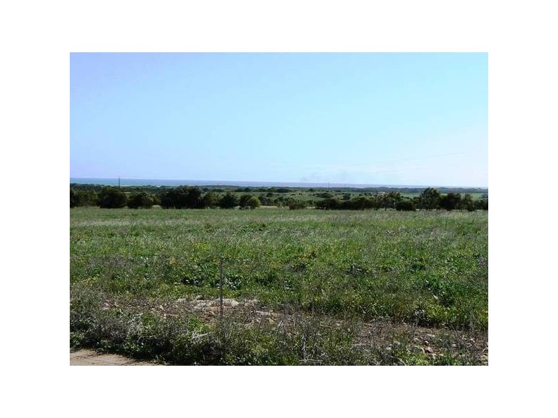 183 Jandanol Road, Rudds Gully WA 6532