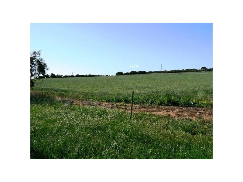 183 Jandanol Road, Rudds Gully WA 6532