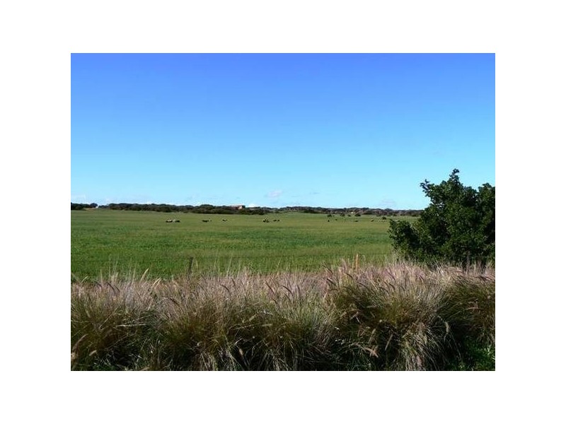 183 Jandanol Road, Rudds Gully WA 6532