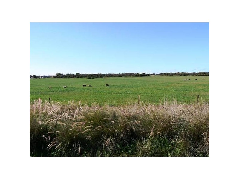 183 Jandanol Road, Rudds Gully WA 6532