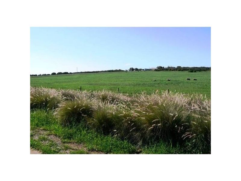 183 Jandanol Road, Rudds Gully WA 6532