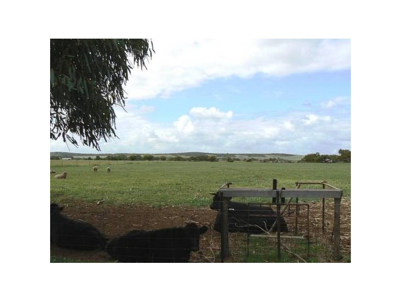 83 Company Road, Greenough WA 6532