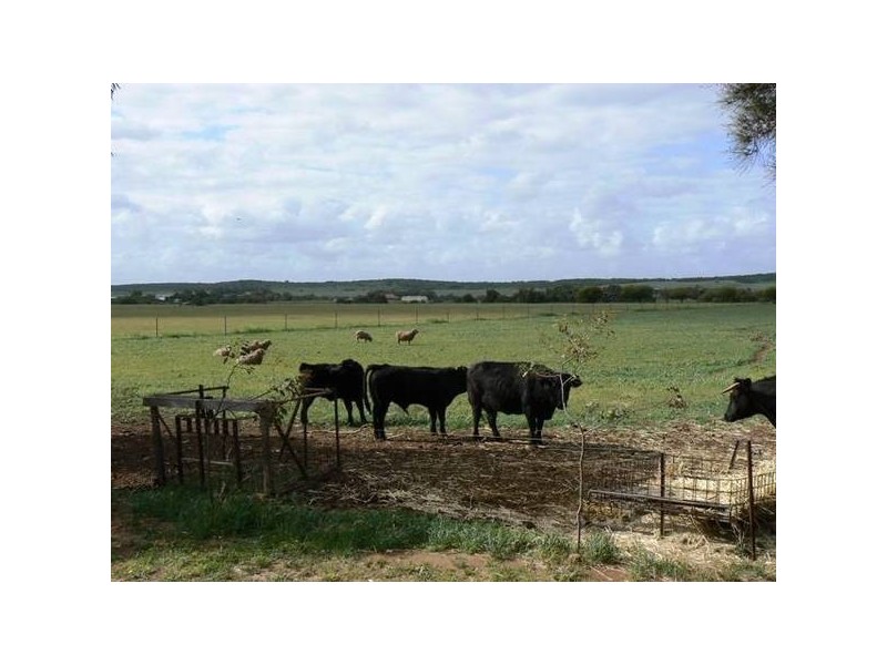 83 Company Road, Greenough WA 6532