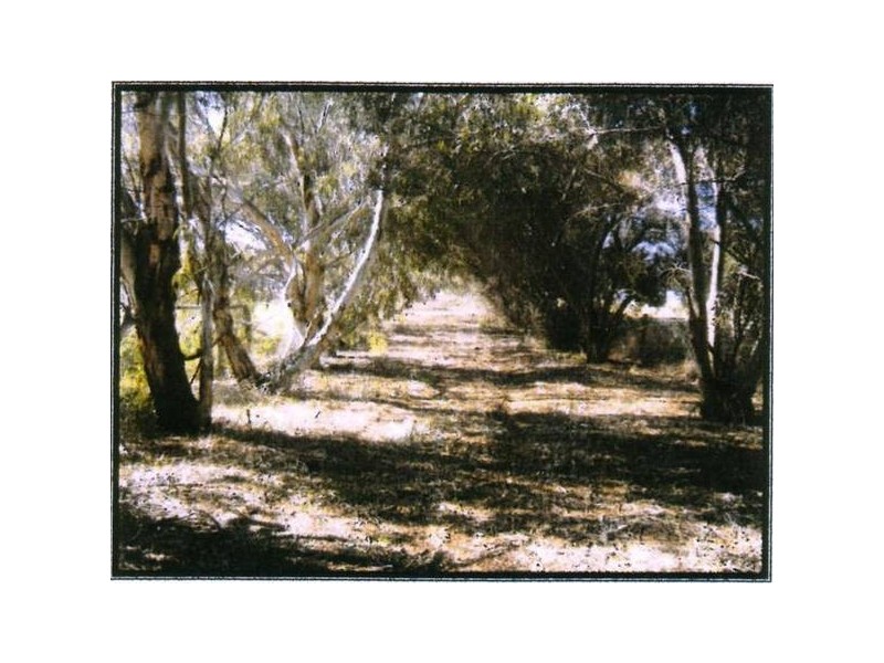 906 Chapman Road, Glenfield WA 6532