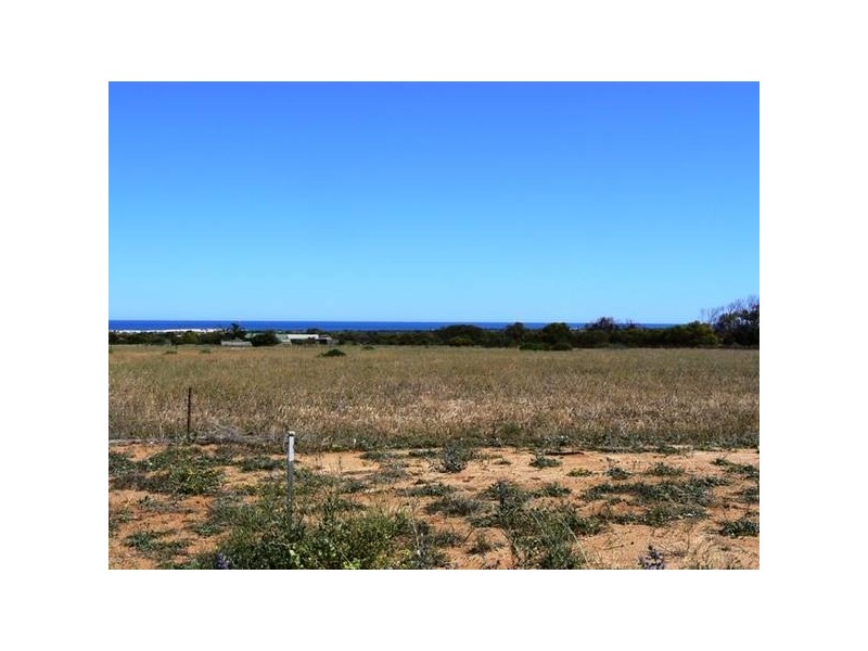 34 Halfmoon Drive, Waggrakine WA 6530