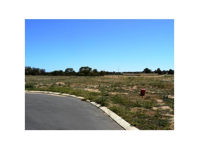 34 Halfmoon Drive, Waggrakine WA 6530