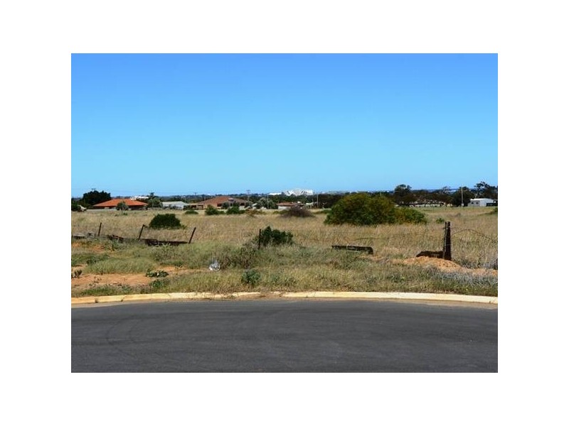 34 Halfmoon Drive, Waggrakine WA 6530