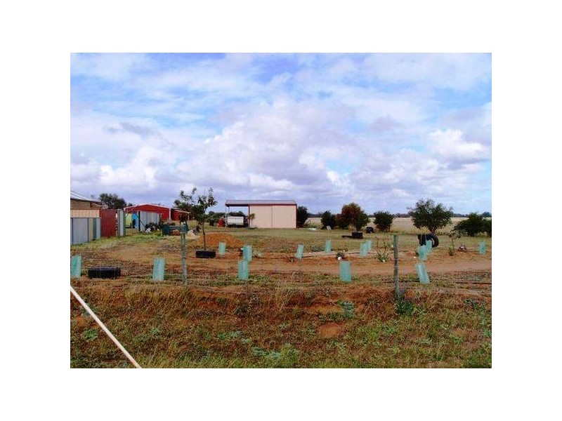 2 Moloney Street, Utakarra WA 6530