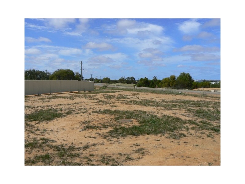 16 Sutcliffe Road, Waggrakine WA 6530