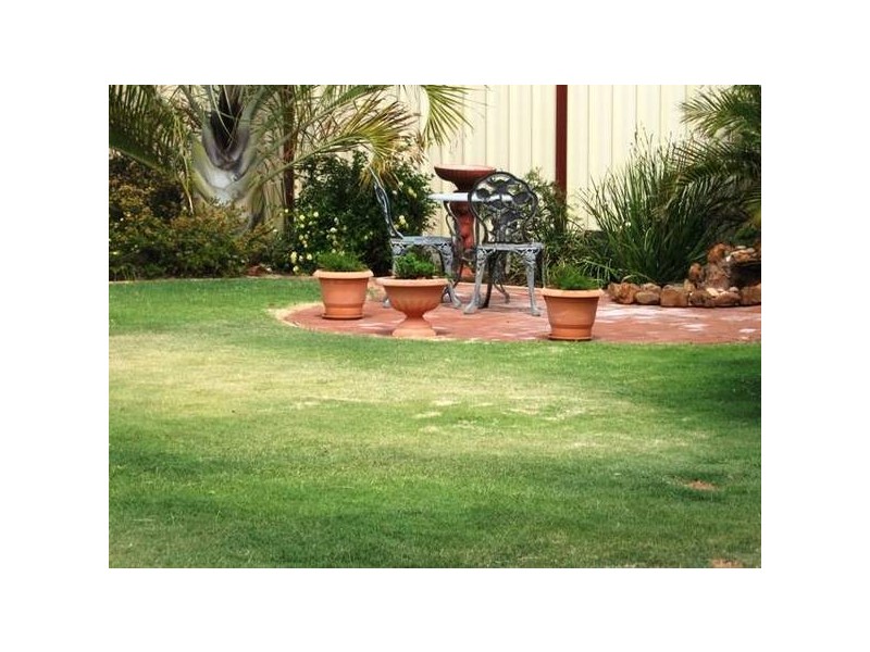 16 Weeloo Road, Waggrakine WA 6530