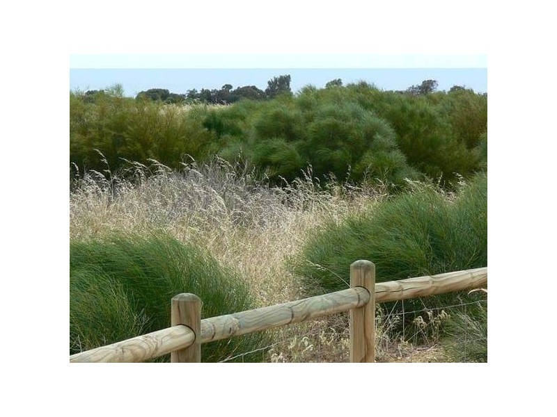 158 Wittenoom Circle, White Peak WA 6532