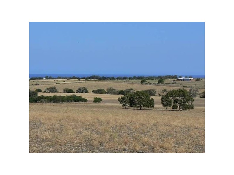 542 David Road, White Peak WA 6532