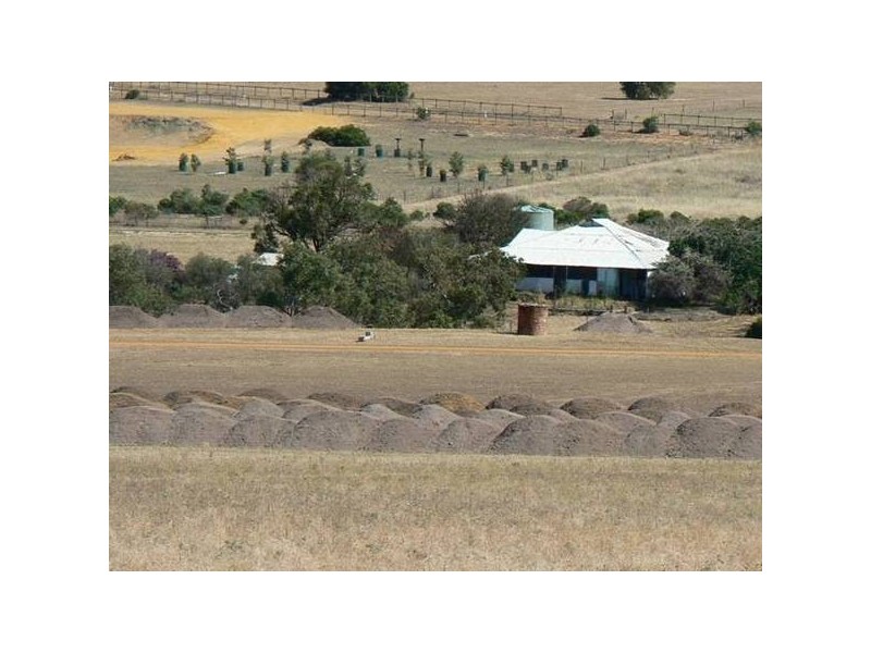 542 David Road, White Peak WA 6532