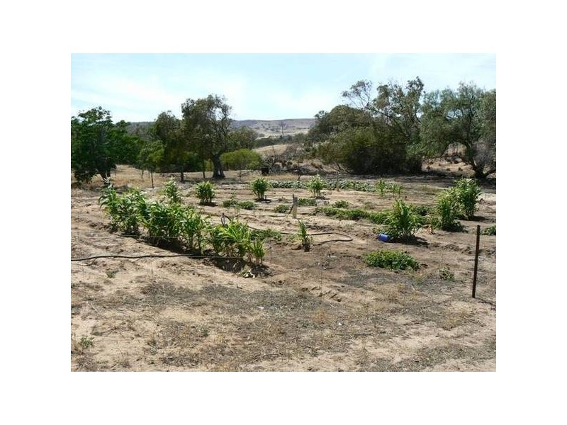 542 David Road, White Peak WA 6532