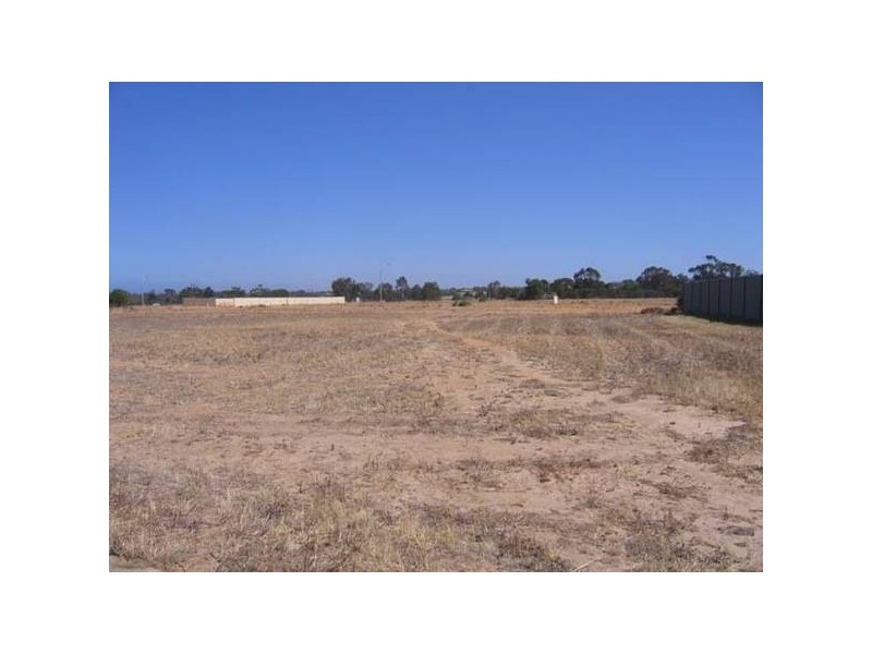 28 Half Moon Drive, Waggrakine WA 6530