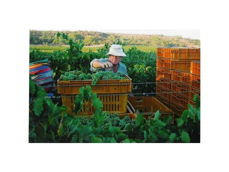 14 Howatharra/Nanson Road, Nanson WA 6532