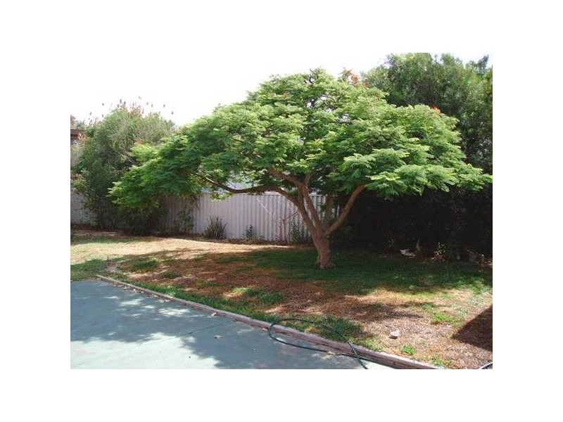 11 Hogan Street, Spalding WA 6530