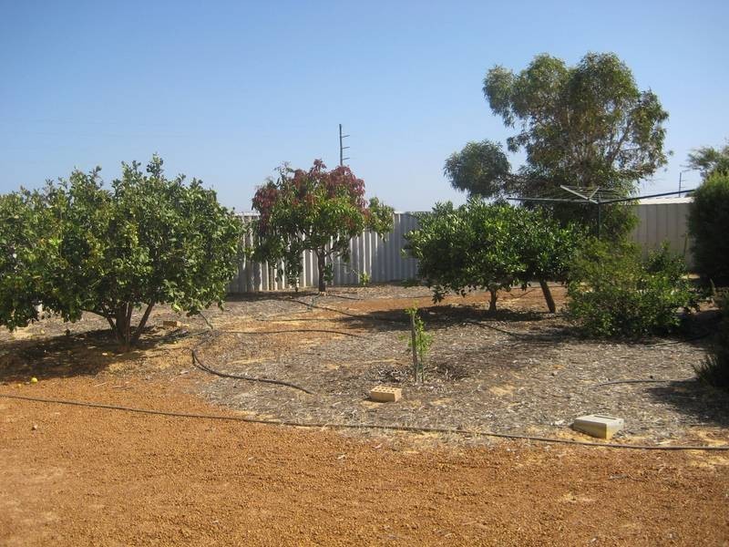 B/4 Verbena close, Strathalbyn WA 6530