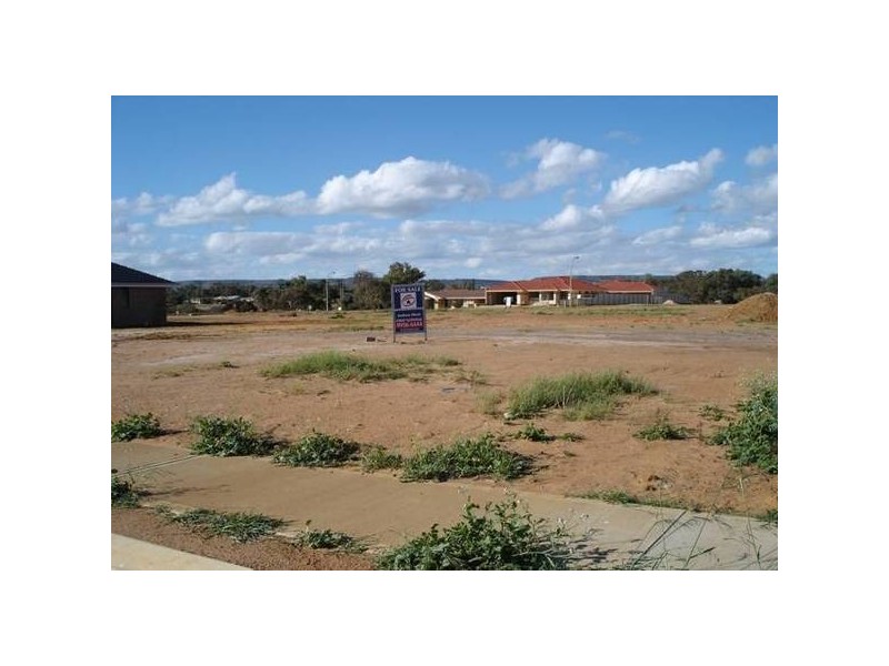 6 Edwin Crescent, Bluff Point WA 6530