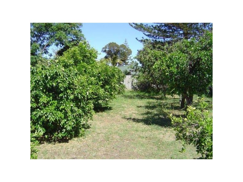 262 Sixth Street, Wonthella WA 6530