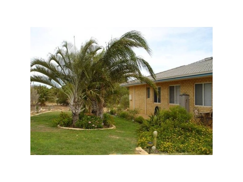 65 Albert Road, Waggrakine WA 6530