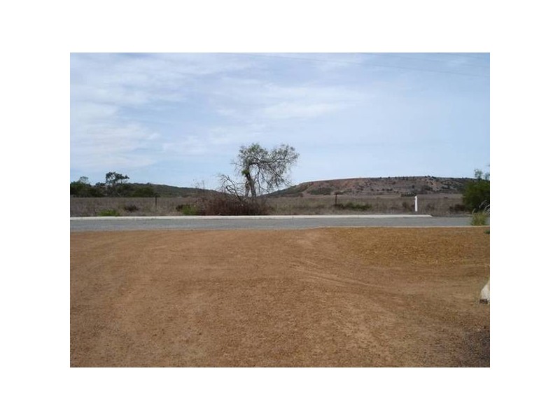 65 Albert Road, Waggrakine WA 6530