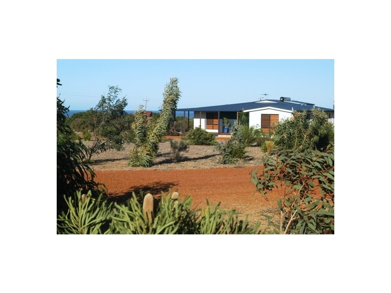 101 Calder Place, Waggrakine WA 6530