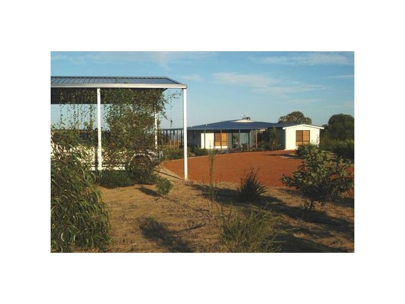 101 Calder Place, Waggrakine WA 6530