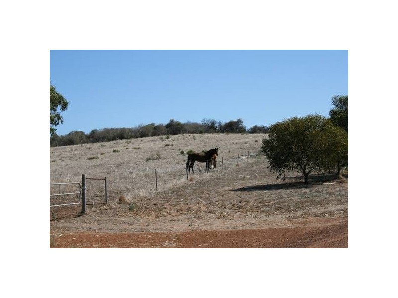 237 Company Road, Greenough WA 6532