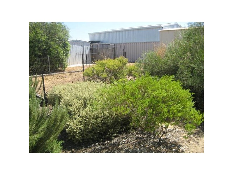 4 Verbeena Street, Strathalbyn WA 6530