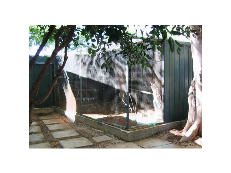 64 Gertrude Street, Geraldton WA 6530