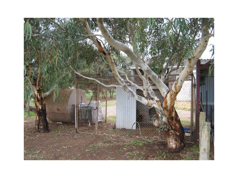 83 Company Road, Greenough WA 6532