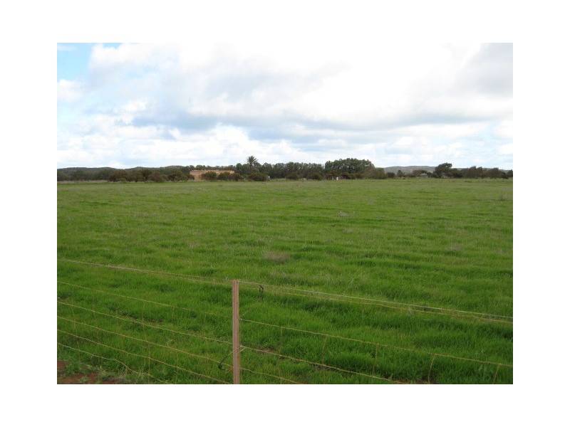 83 Company Road, Greenough WA 6532