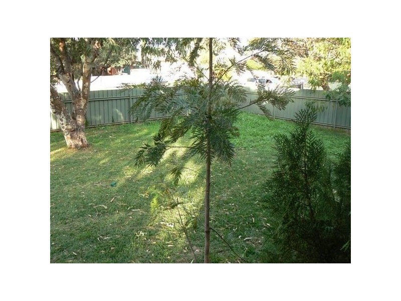 26 Felicia Street, Rangeway WA 6530