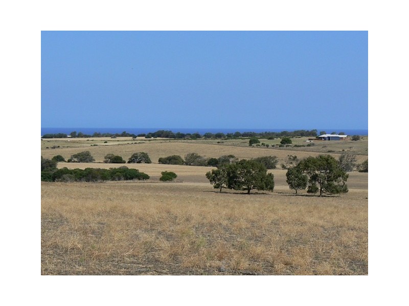 591 David Road, White Peak WA 6532