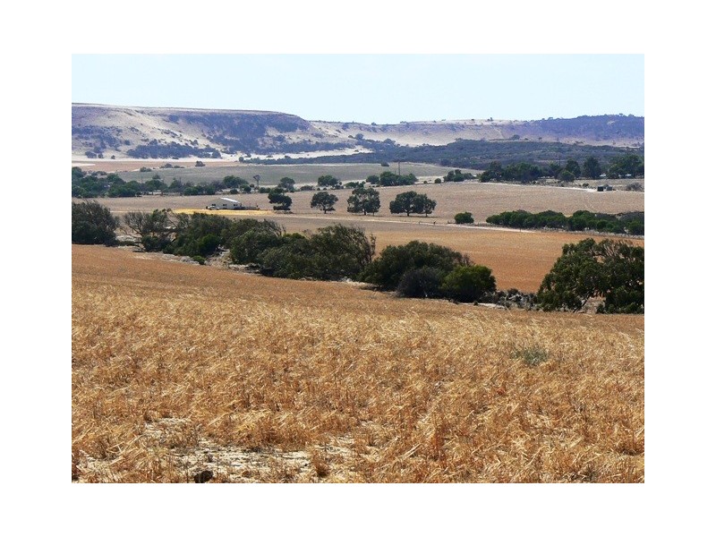 591 David Road, White Peak WA 6532